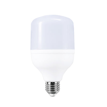 AMPOLLETA ALTA POTENCIA 20W 6500K (E27)